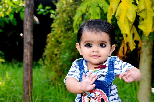 PRADEEP KUMAR Portfolio