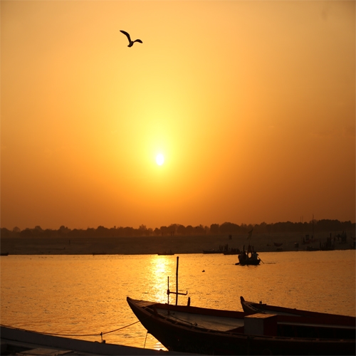 SANJAY KUMAR JAISWAL Portfolio