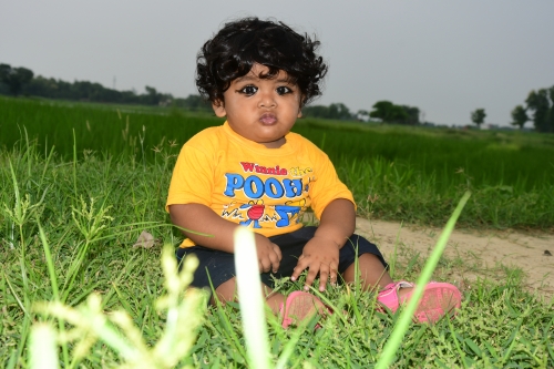 AMIT SINGH CHAUHAN Portfolio